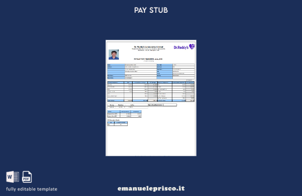 stile verificato Modello di busta paga del laboratorio